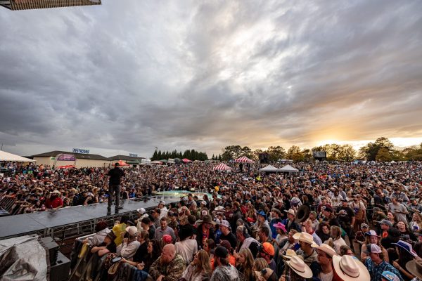 Музыкальные фестивали 2026: полный гид по лучшим событиям года